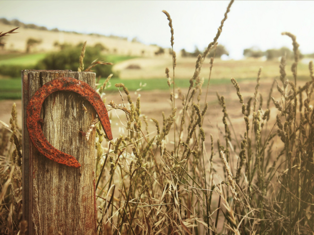Rusty shoe on fence